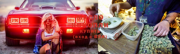 прущий лед Ладушкин