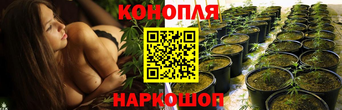 Шишки марихуана MAZAR Новый Уренгой